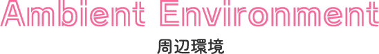 Ambient Environment 周辺環境